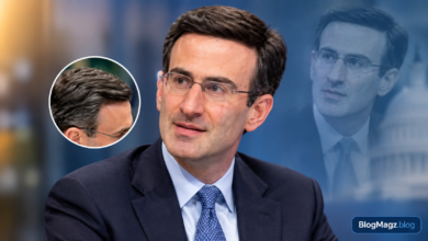 Peter Orszag Hair